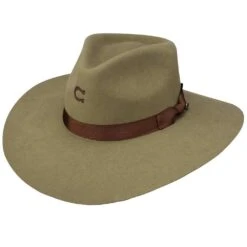 Charlie 1 Horse Highway Olive Drab 3 3/4in. Brim Fashion Hat